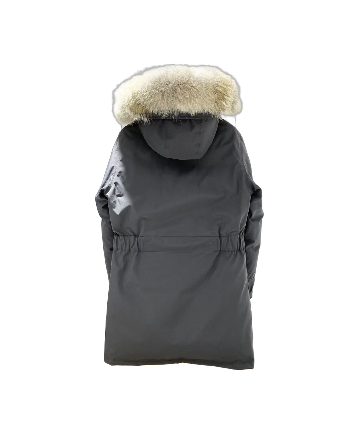 Canada Goose Women's Trillium Parka | Coyote Fur Trim | 625-Fill Down