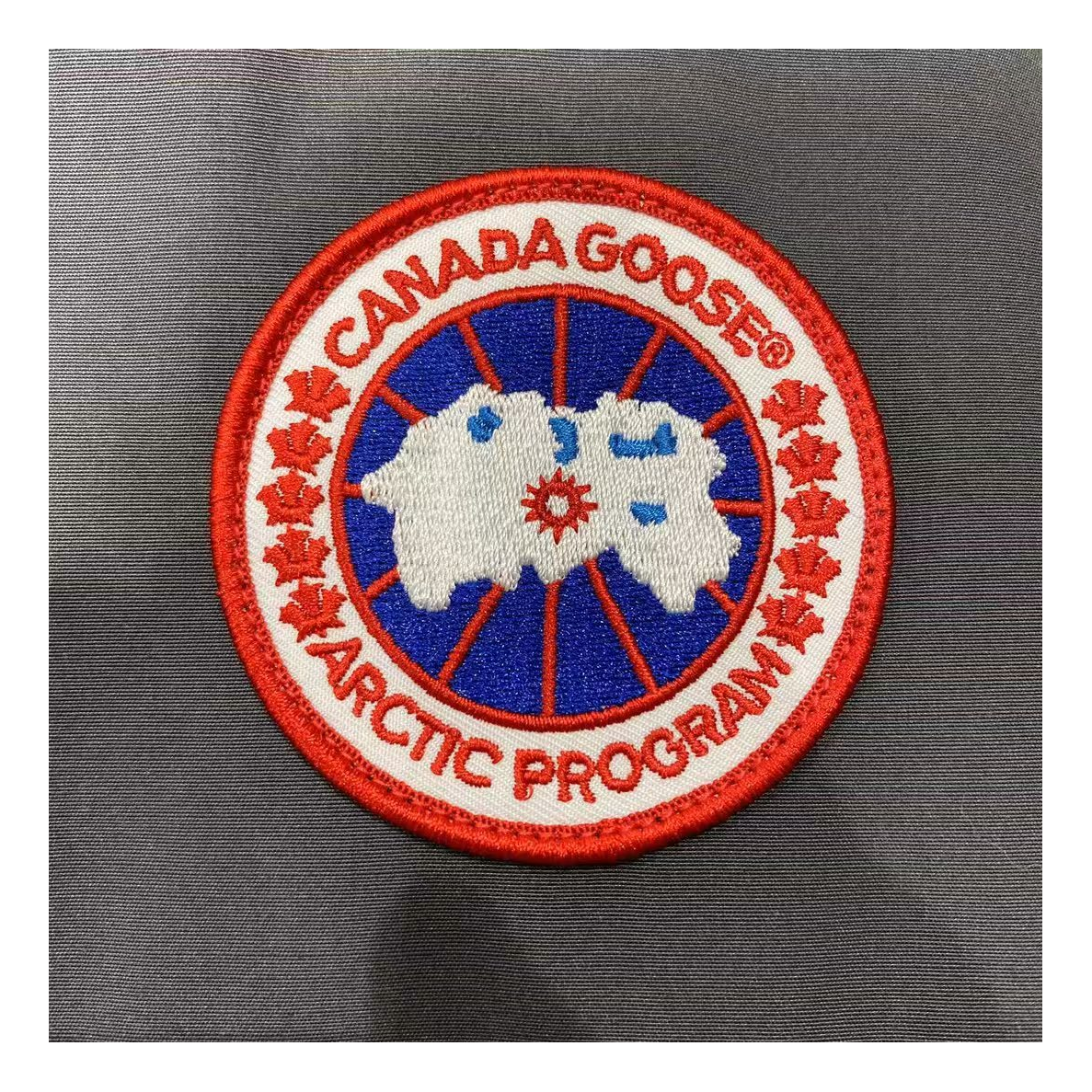 Canada Goose Women's Trillium Parka | Coyote Fur Trim | 625-Fill Down