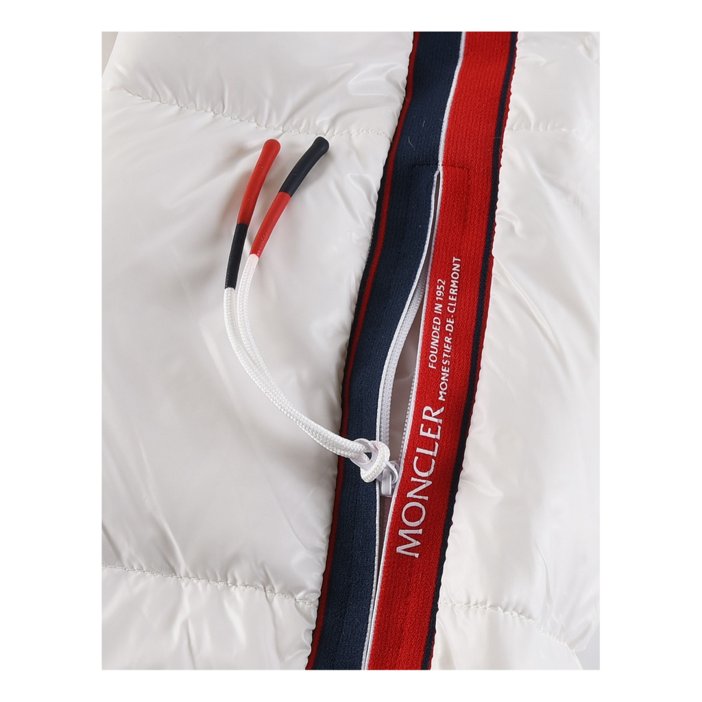 Moncler Tricolour Sleeve-Stripe Glossy Hooded Puffer Jacket | Premium Down