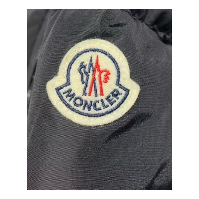 Moncler Drawstring-Hood Fitted Puffer Jacket | Premium Down | Tailored Fit