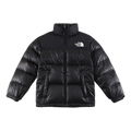 The North Face Contrast-Panel Stand-Collar Puffer Jacket